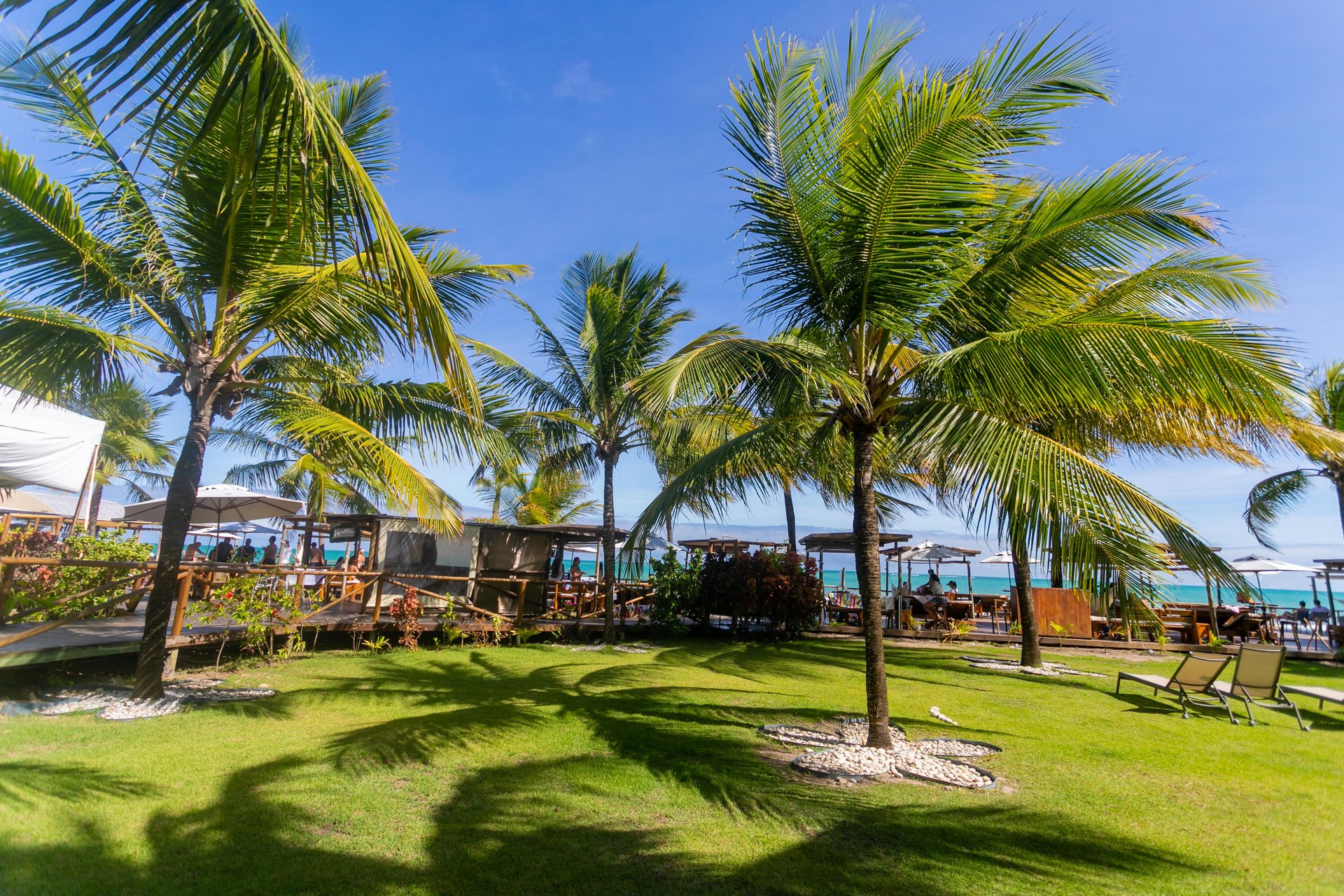 Hibiscus - Playa de Ipioca - Imagen 1