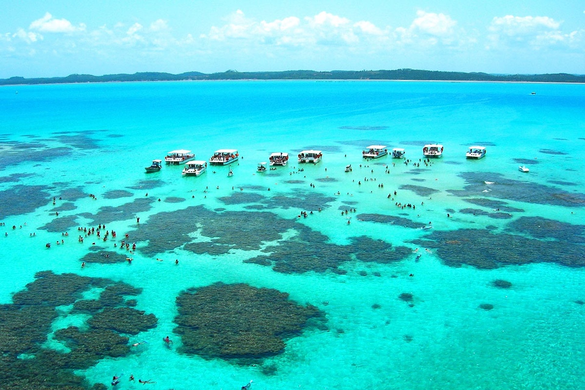 Maragogi (marea baja): piscinas naturales - Imagen 1