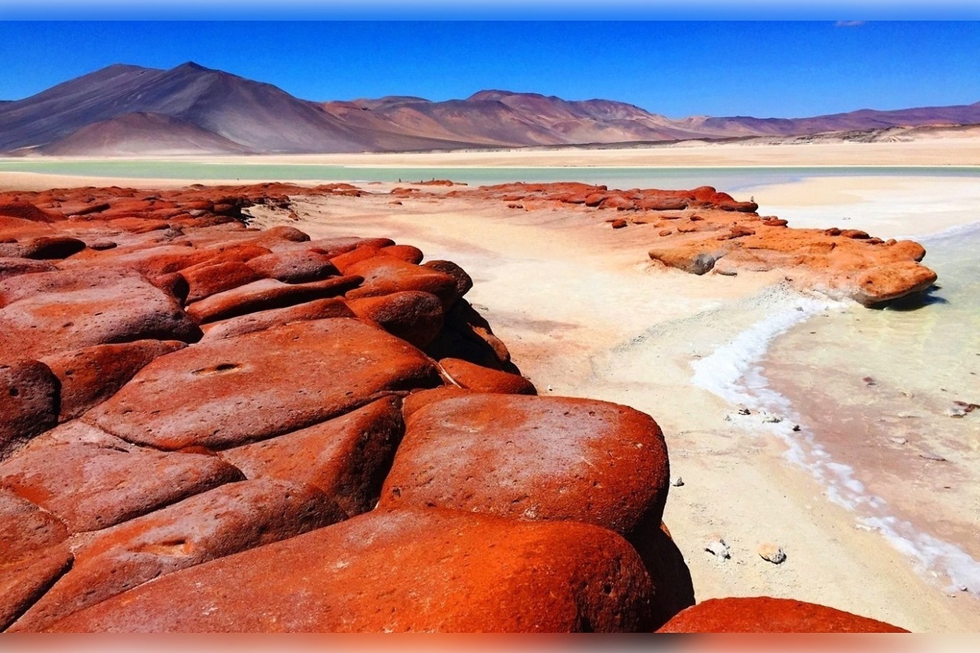 Piedras Rojas, lagunas altiplánicas y Chaxa - Imagen 1