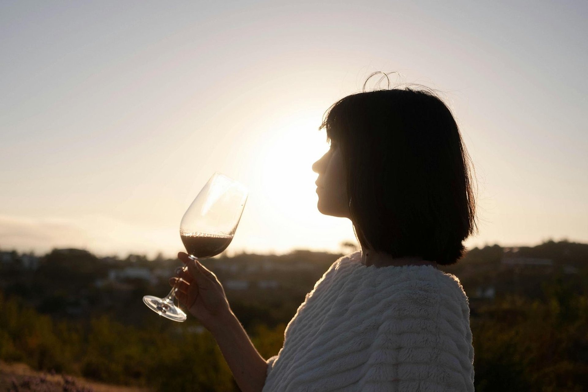 San Juan: Bodegas del Sur en inglés - Imagen 1