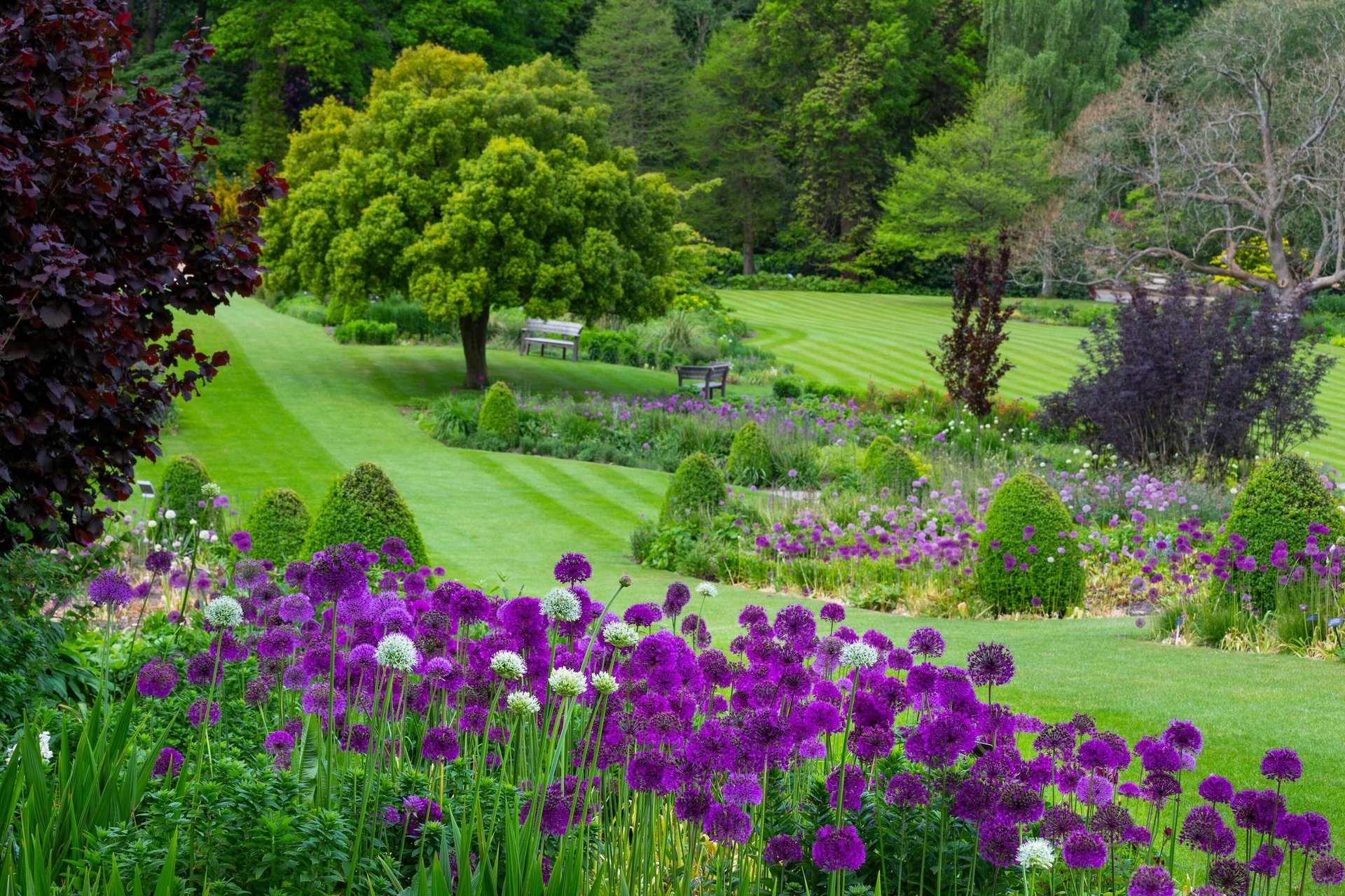 Jardín RHS Harlow Carr - Imagen 1