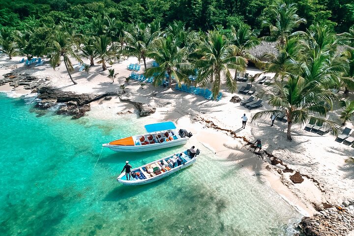 Saona: almuerzo, fauna y piscinas naturales - Imagen 1