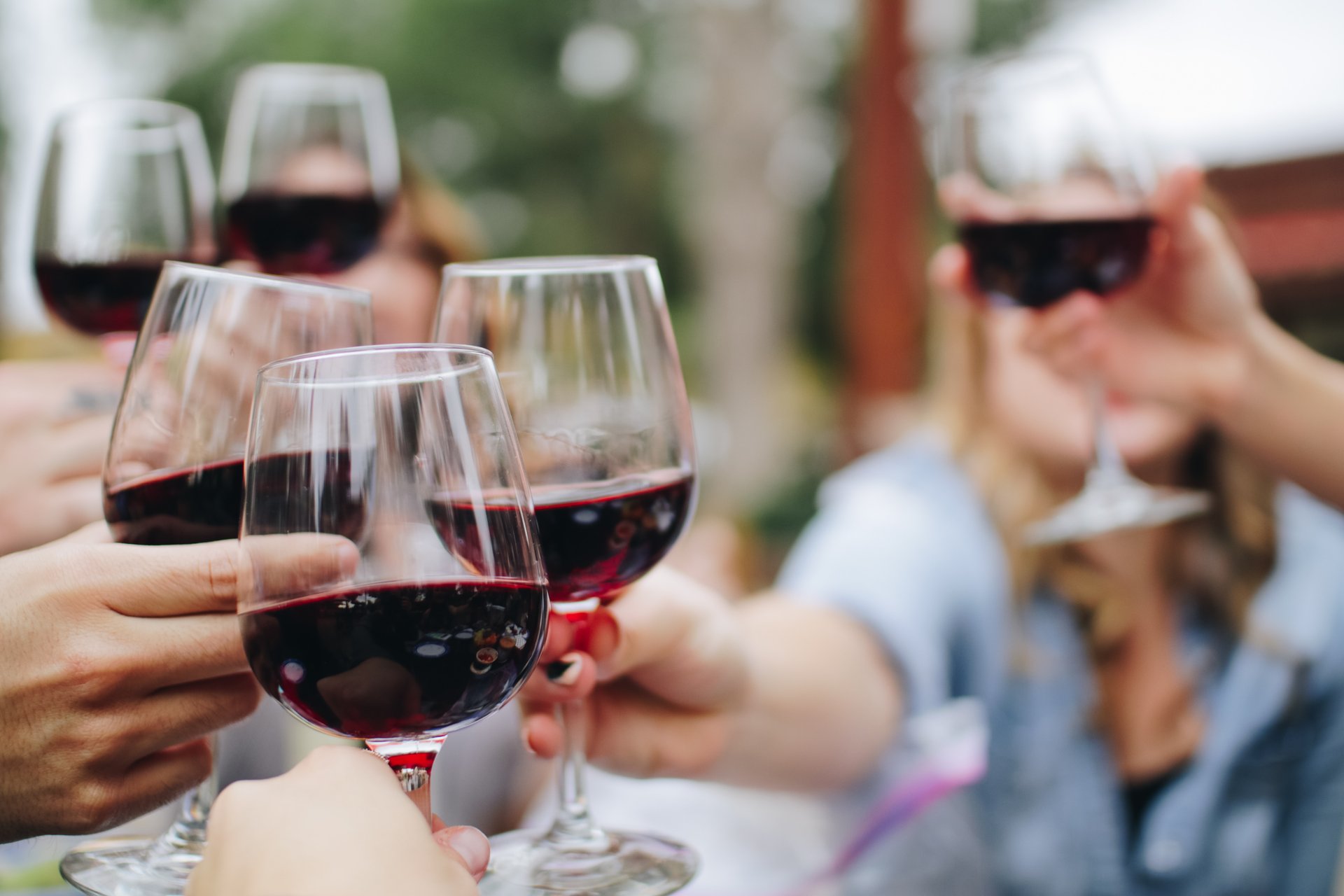 Vinos en las colinas de Chianti - Imagen 1