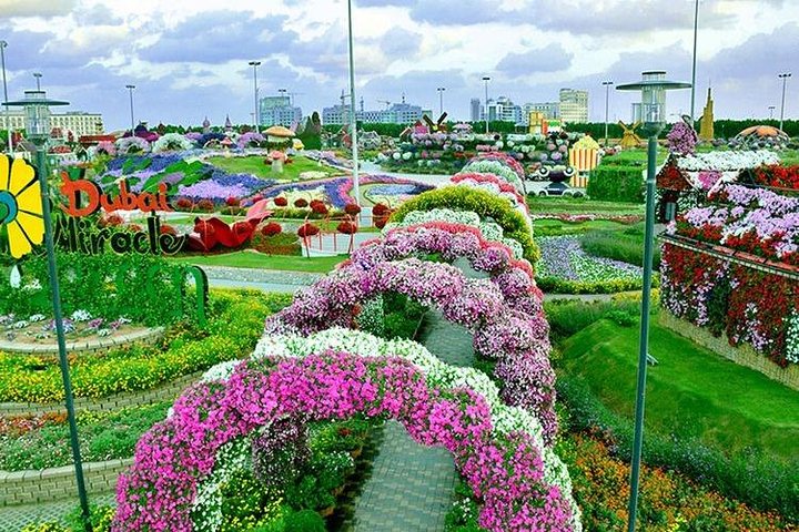 Dubai Miracle Garden con traslados privados - Imagen 1