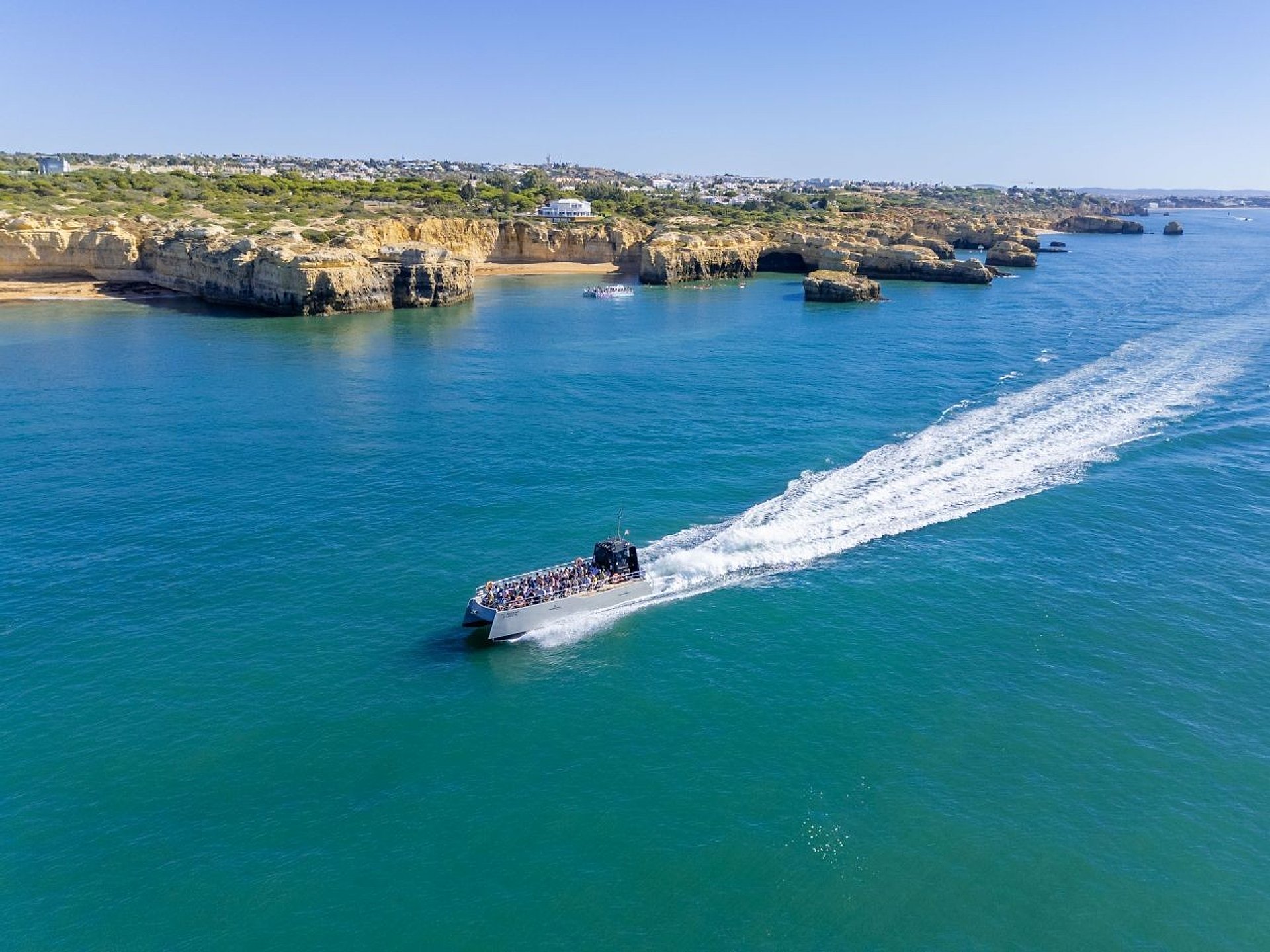 Delfines y cuevas de Benagil en catamarán - Imagen 1