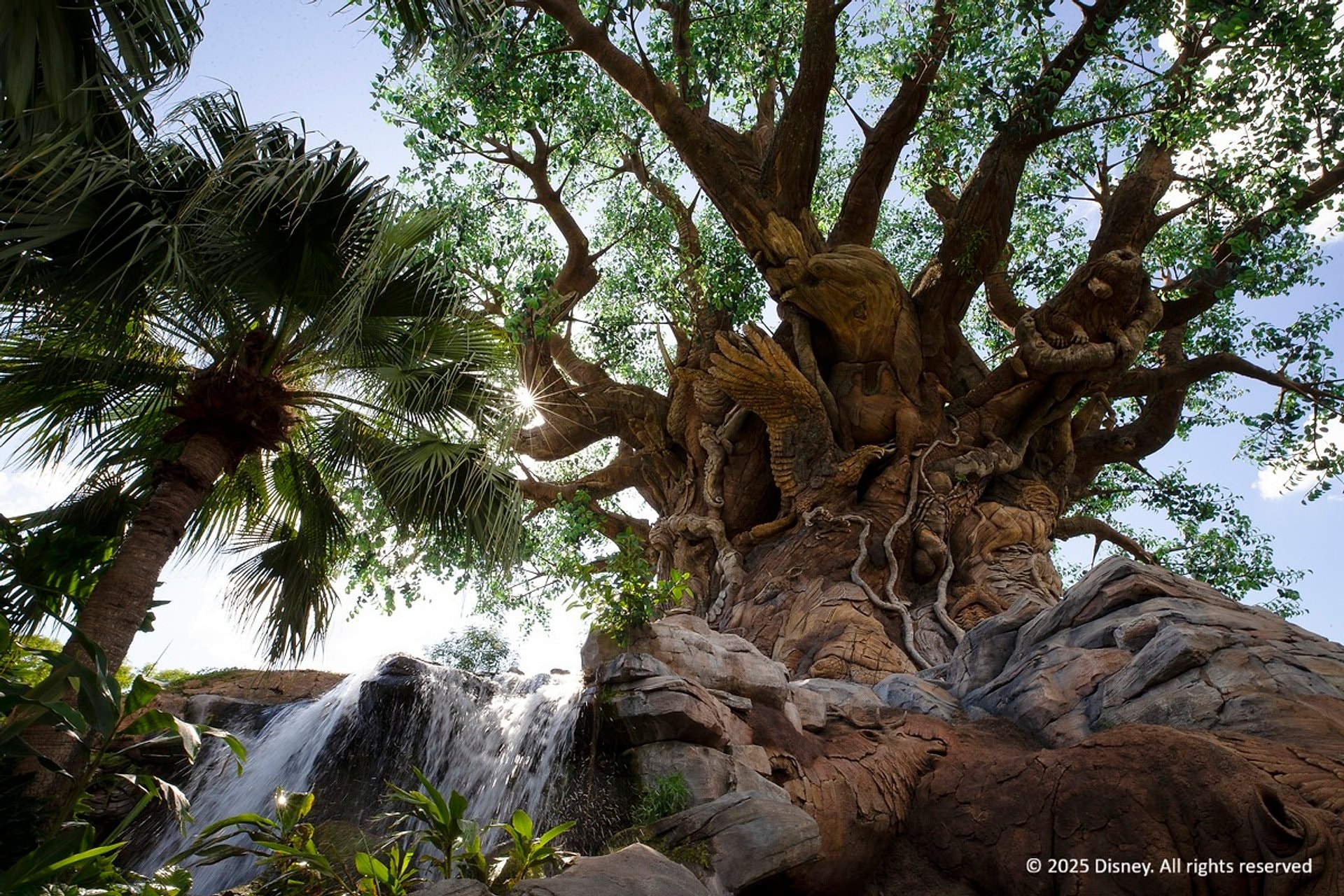 Disney Animal Kingdom: ticket de 1 día - Imagen 1