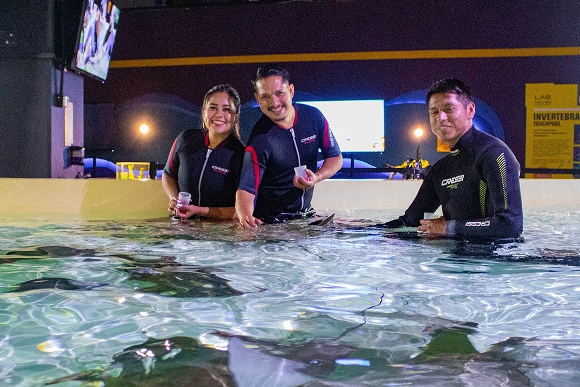 Entrada al Acuario de la ciudad de Michin - Imagen 1