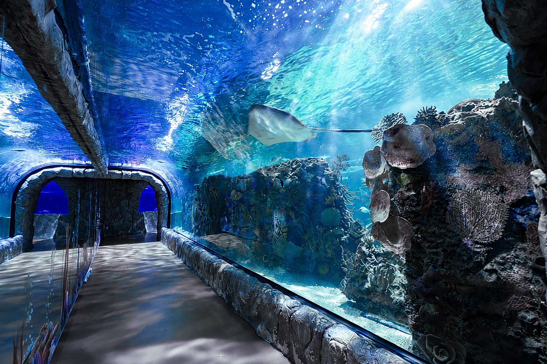 Ticket to Acuario Inbursa - Imagen 1
