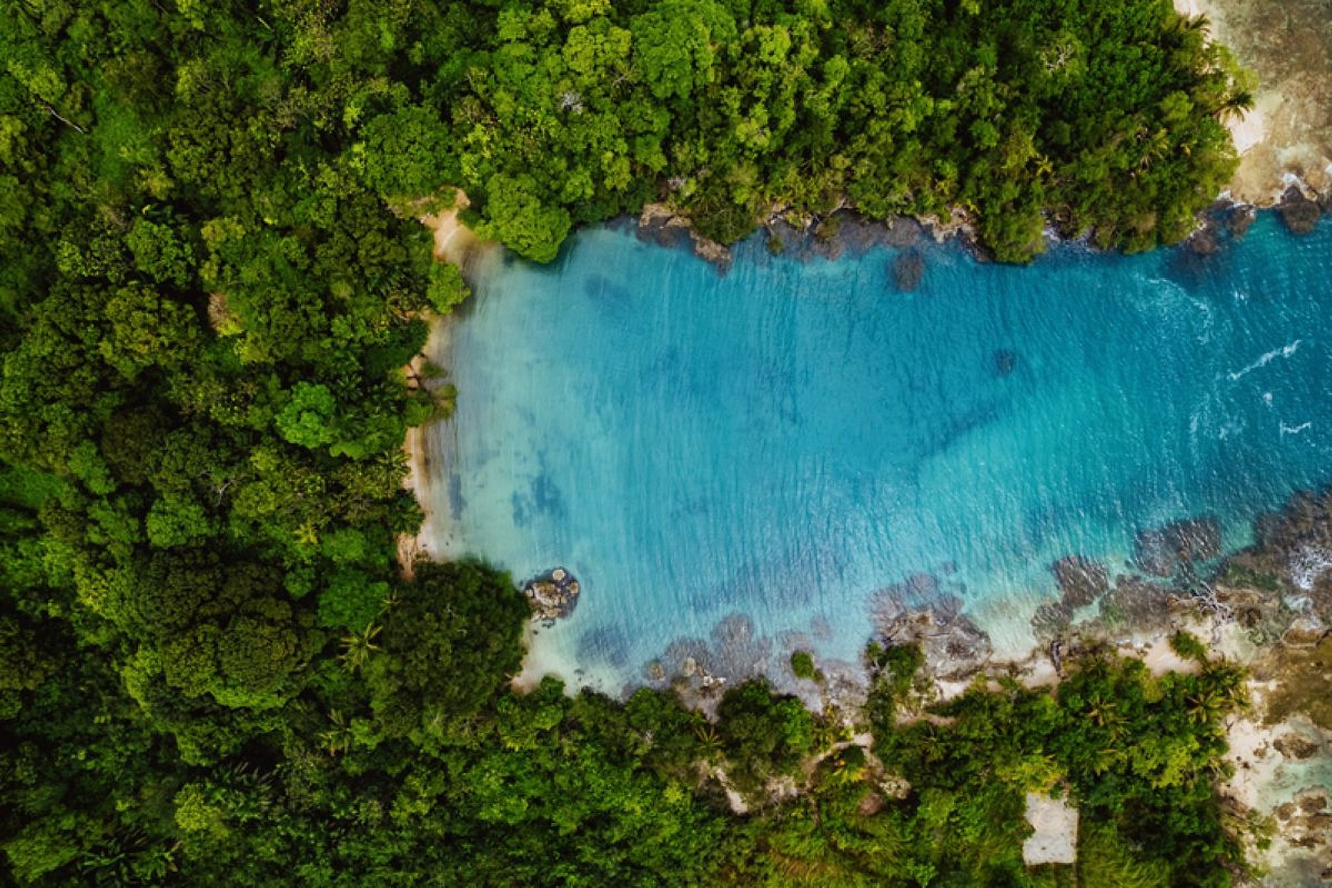 Excursión de un día a San Blas - Imagen 1
