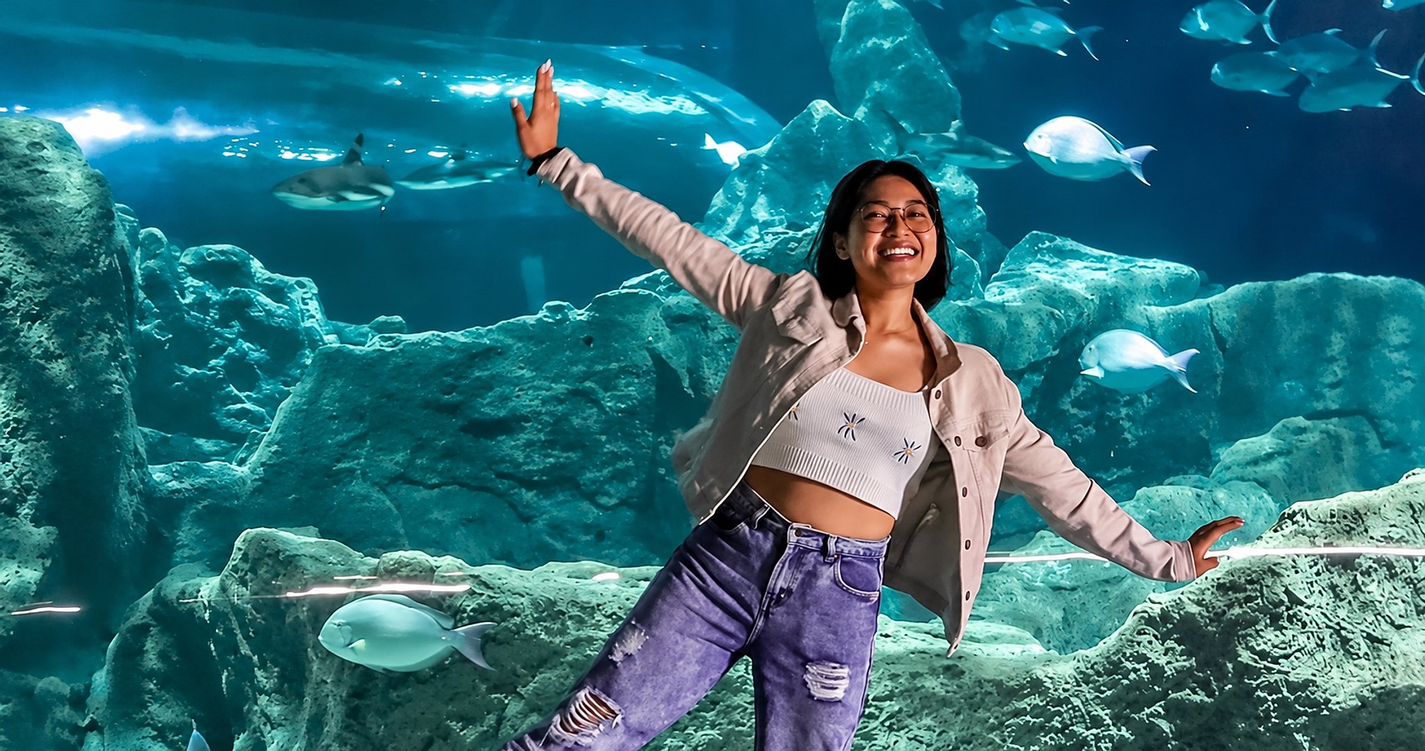 Entrada al Acuario Michin - Imagen 1