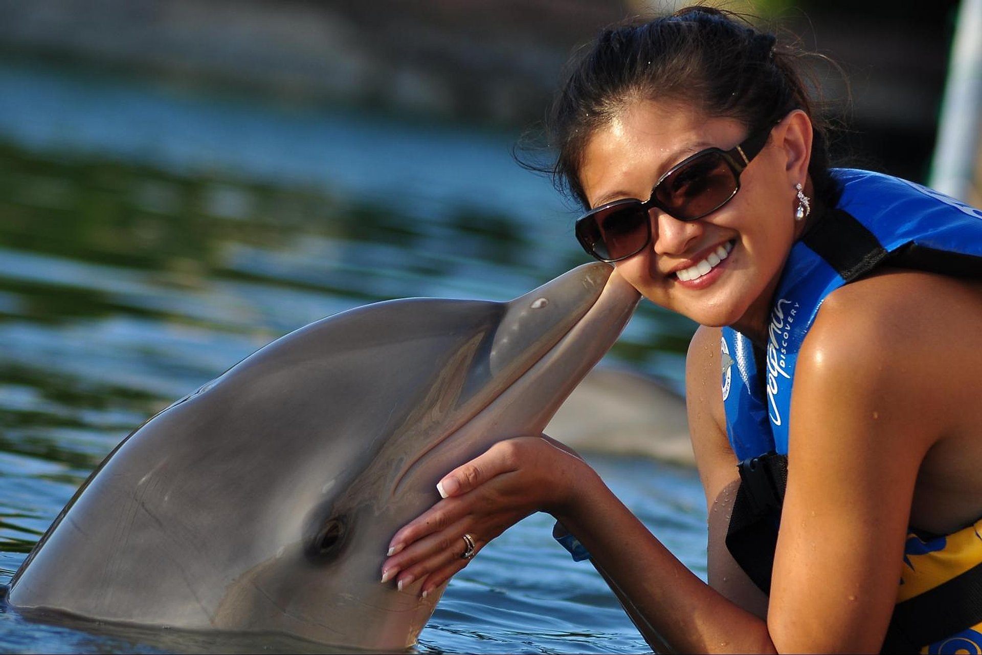 Dolphin Encounter en Puerto Aventuras - Imagen 1
