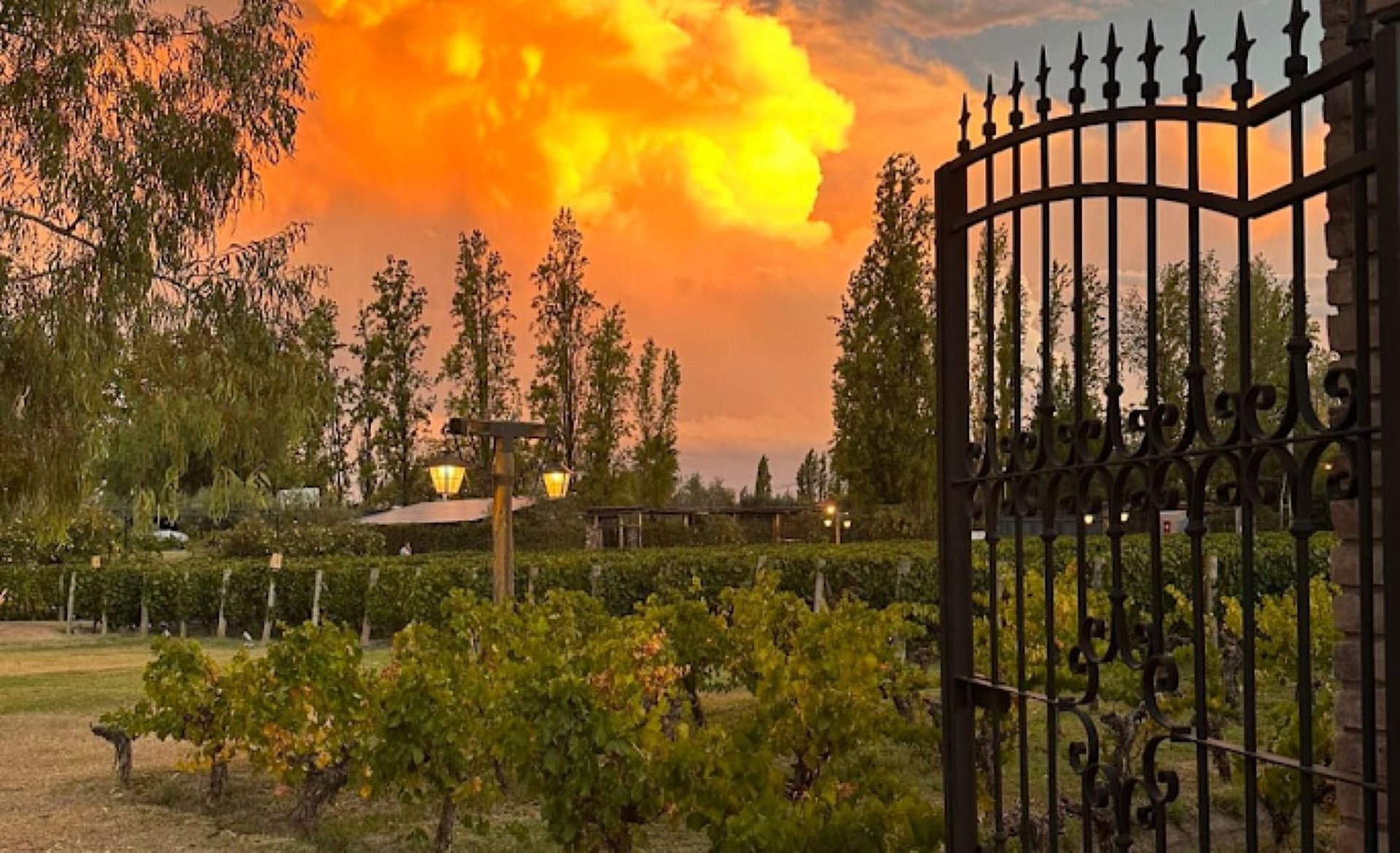 Casa Vigil: Experiencia Gourmet al Atardecer - Imagen 1
