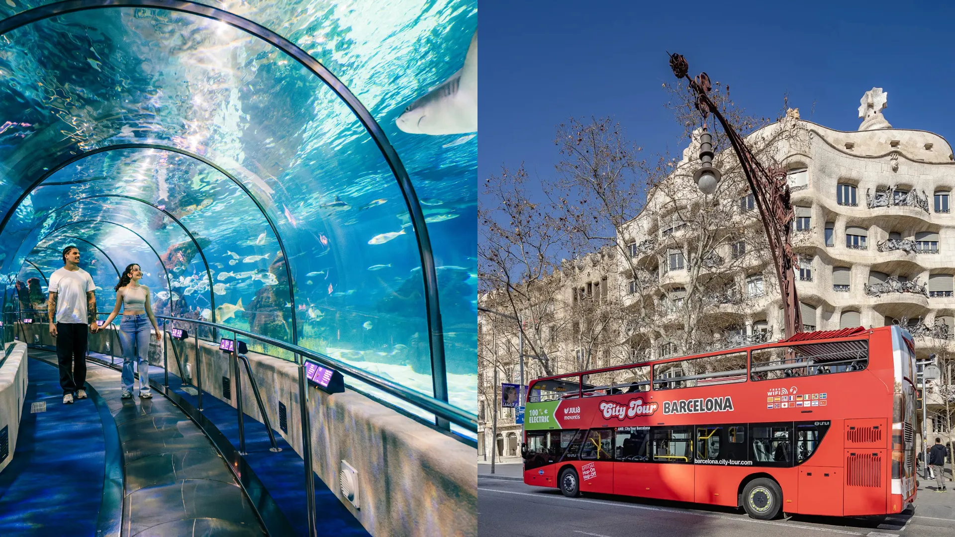 Bus turístico + Aquarium - Imagen 1