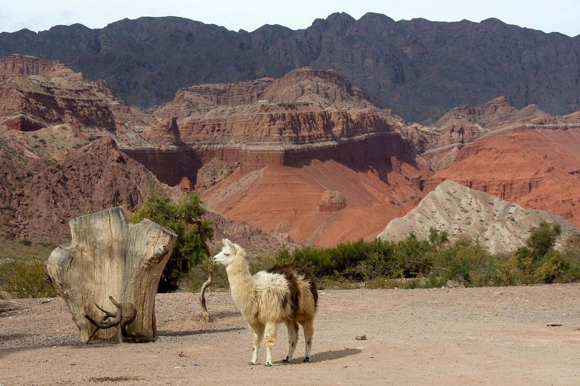 Cafayate y los Valles Calchaquíes - Imagen 1