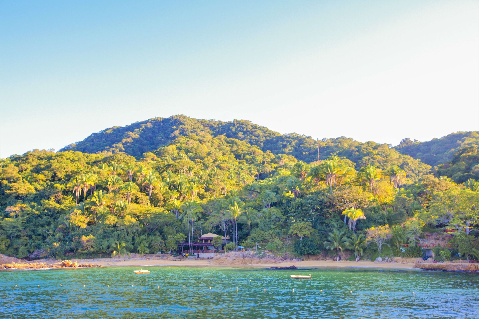 Las Caletas desde Puerto Vallarta - Imagen 1