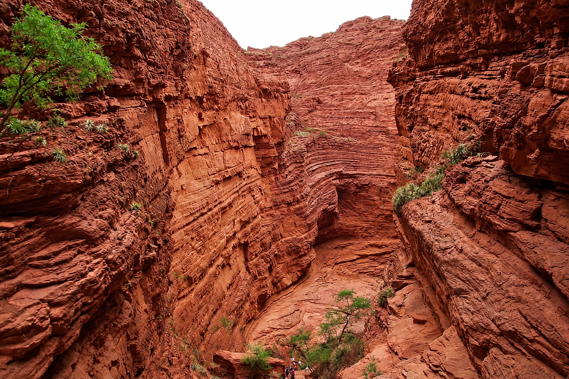 Combo Cafayate + Humahuaca con traslados - Imagen 1
