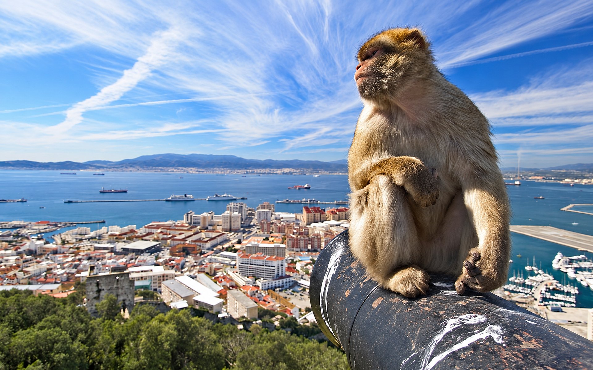 Paseo a Gibraltar - Imagen 1