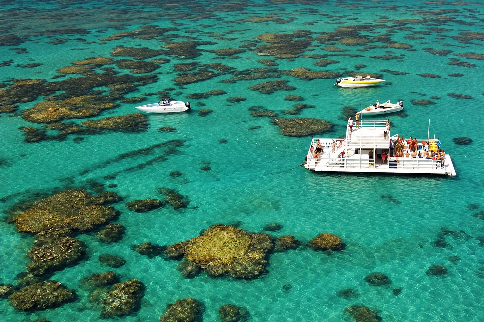 Maracajaú: el Caribe de Rio Grande do Norte - Imagen 1
