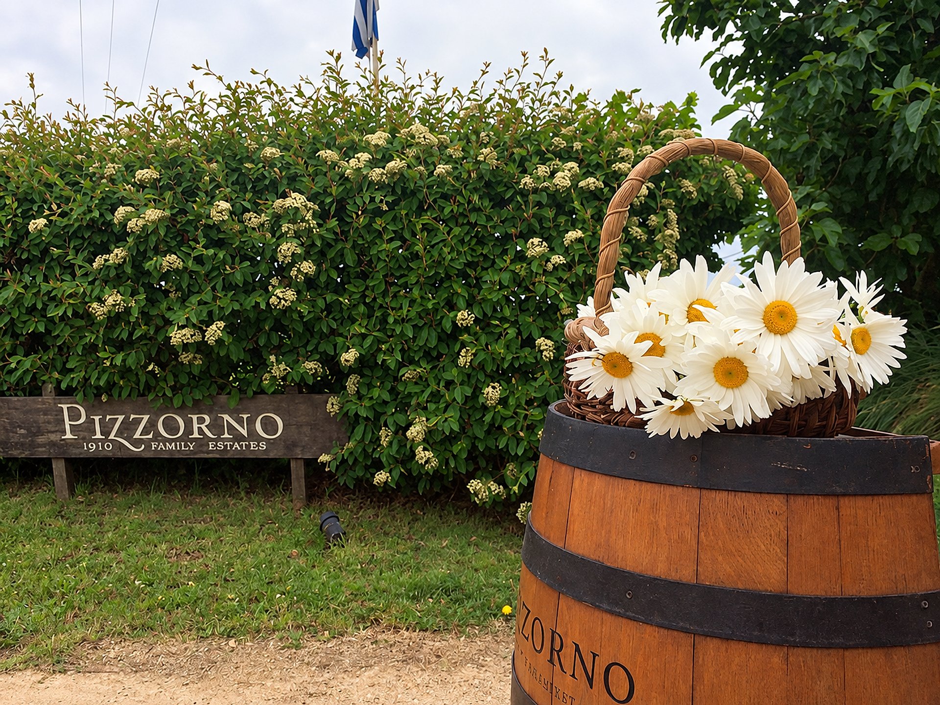 Tour a Bodega Pizzorno - Imagen 1