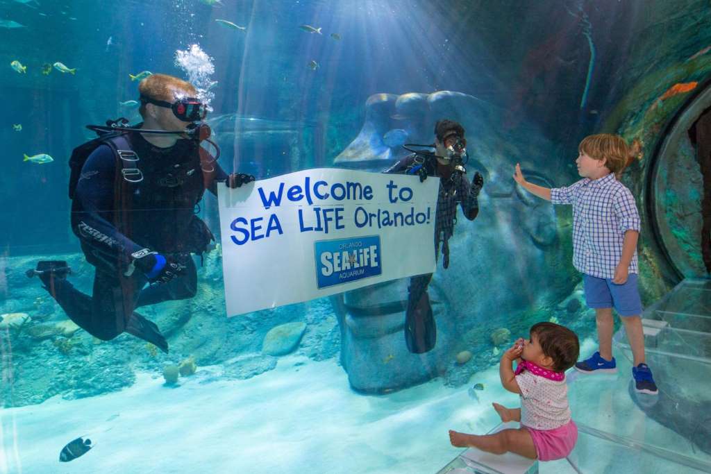 Sea Life Orlando - Entrada estándar - Imagen 1
