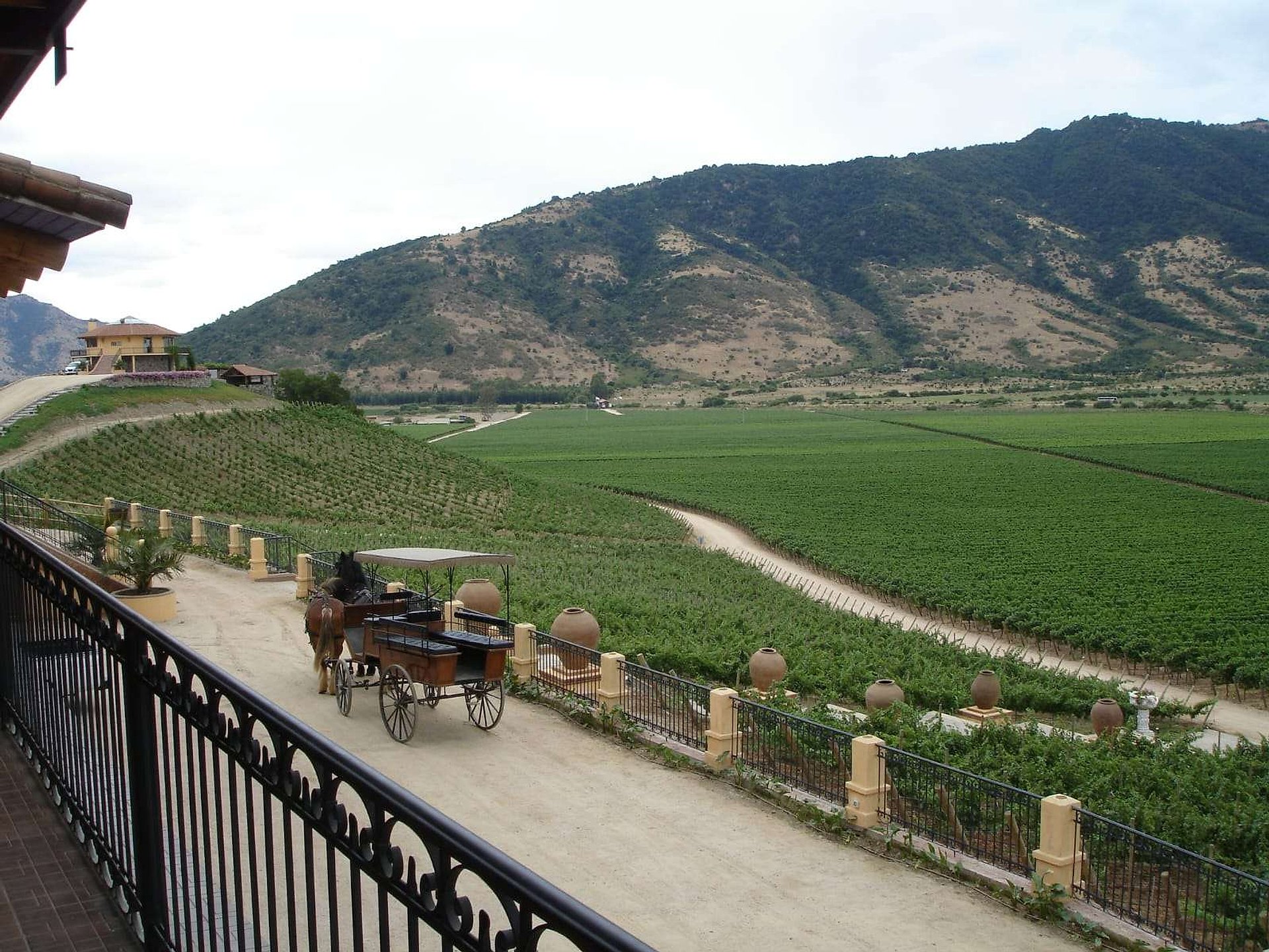 Día entero Colchagua Vinícola Santa Cruz - Imagen 1