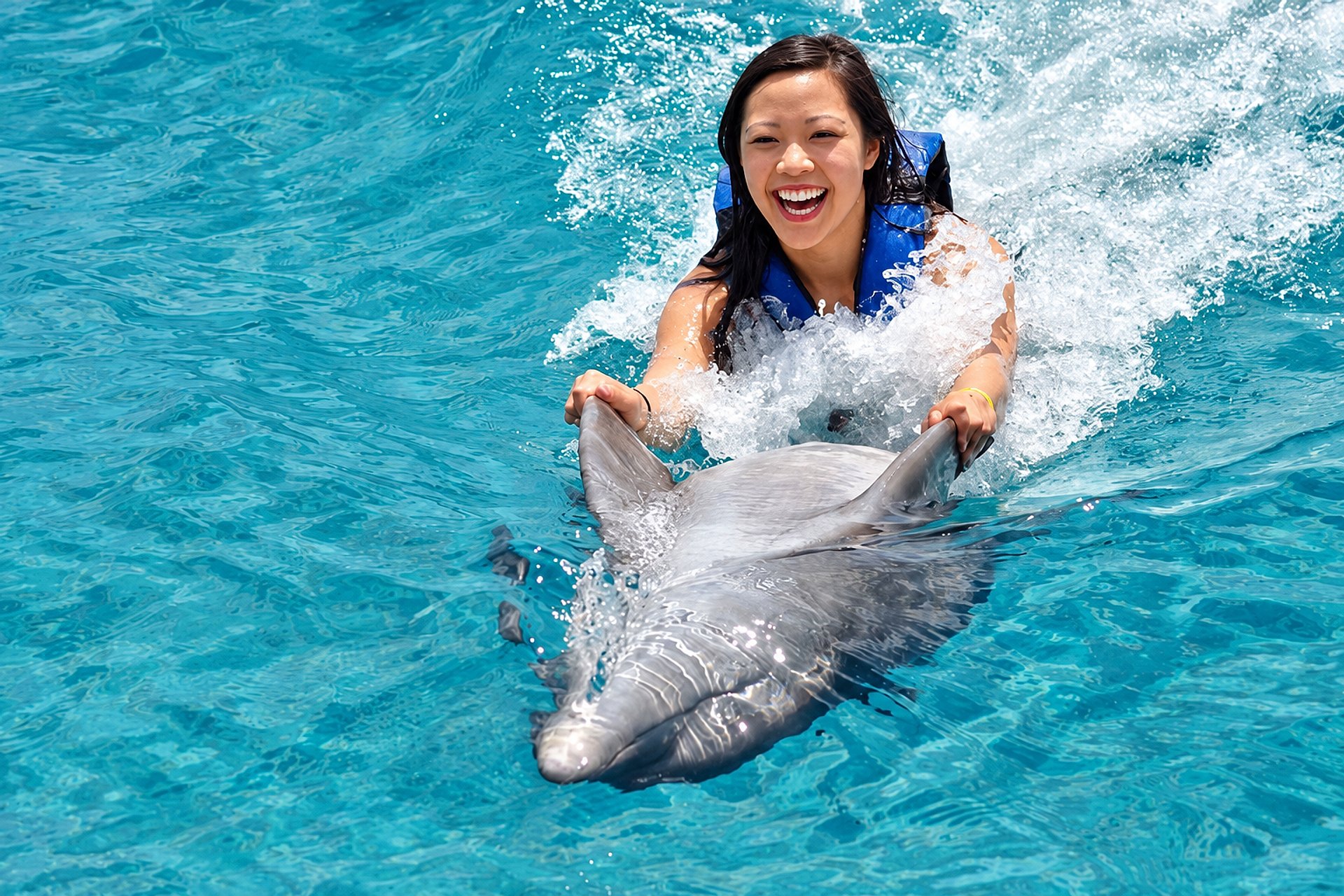 Nado con Delfines Adventure Swim - Imagen 1