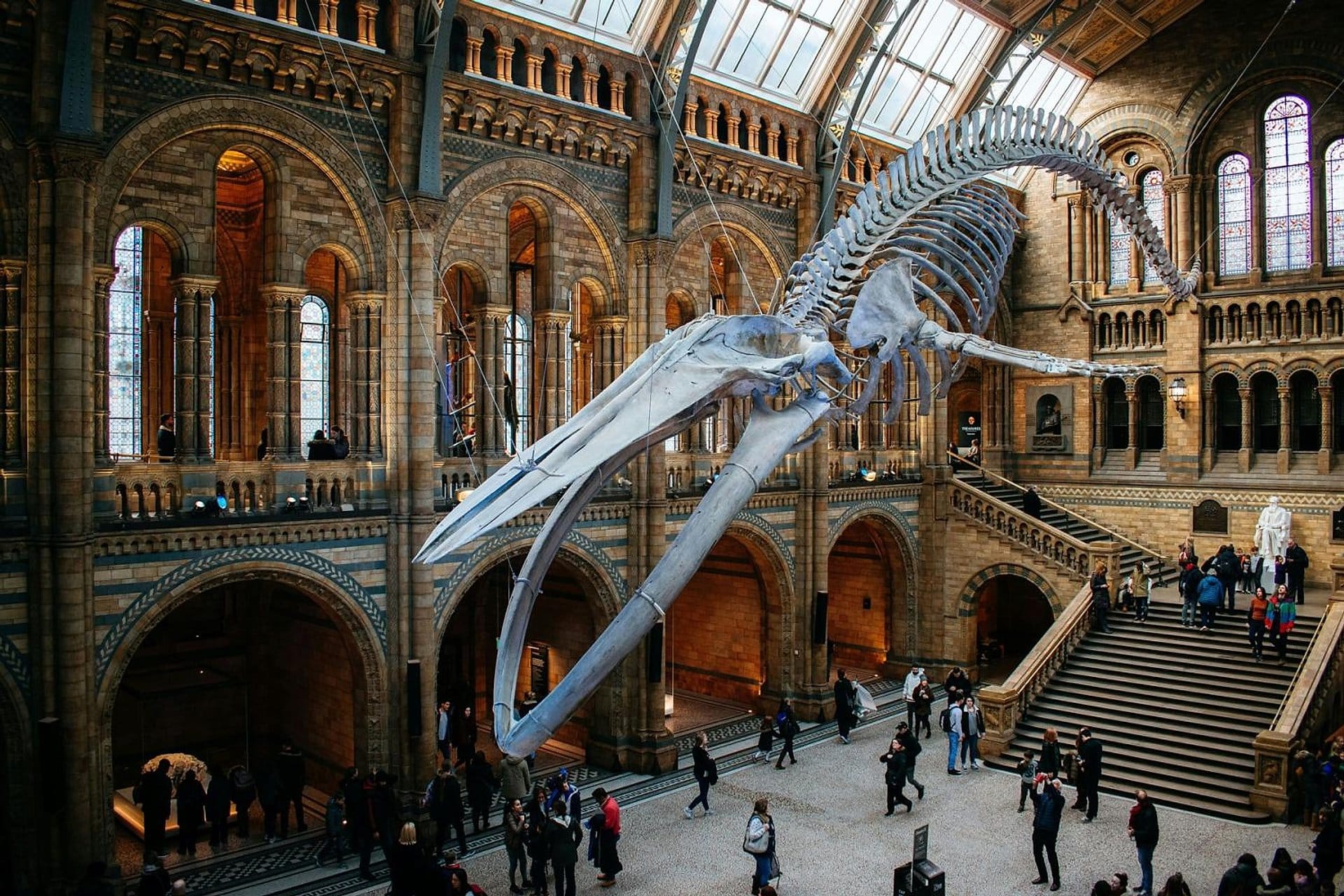Museo de Historia Natural con audioguía