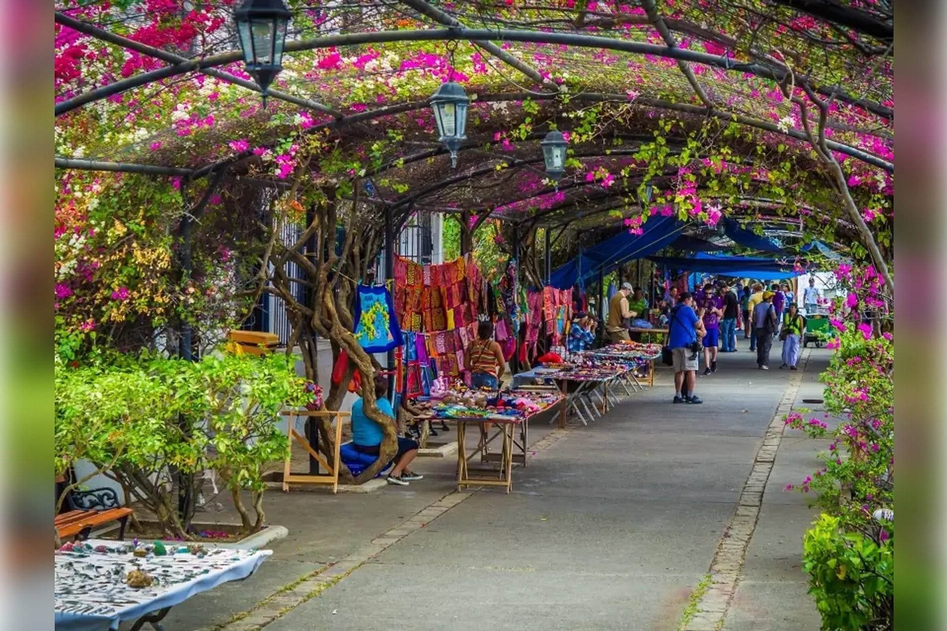 Casco Antiguo, Panamá Viejo y Amador