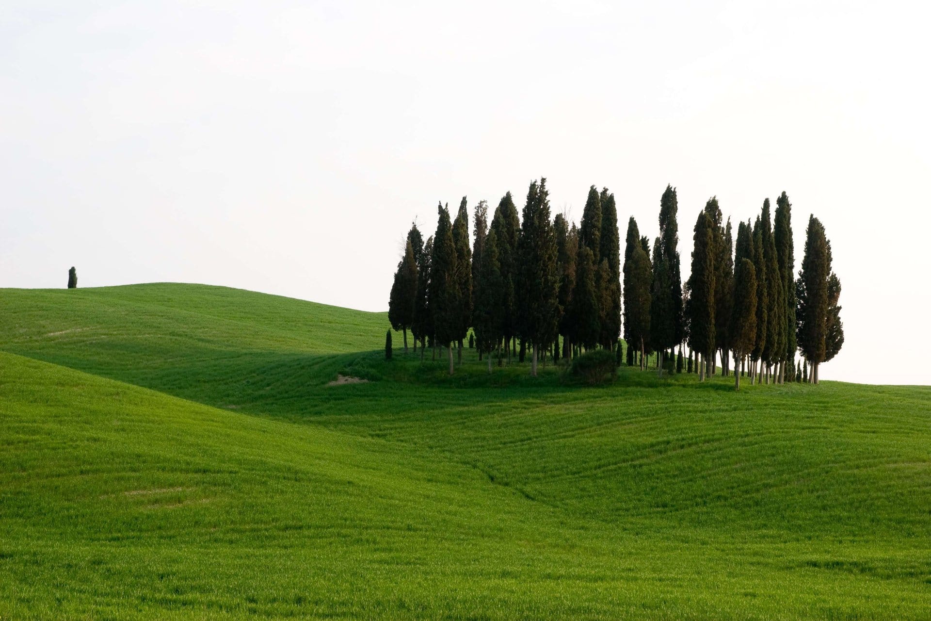 Chianti Classico, Montalcino, Montepulciano