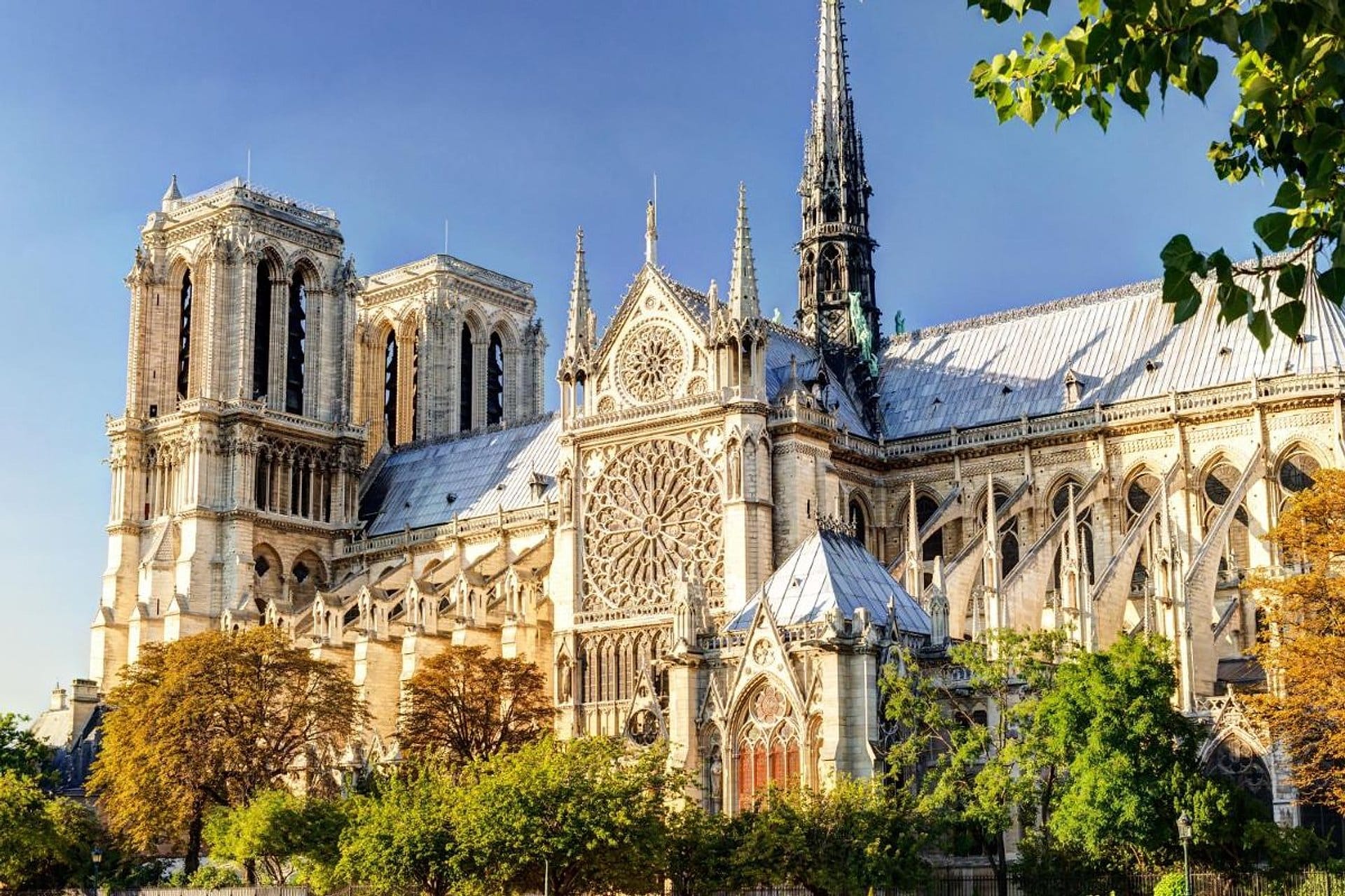 Notre Dame: visita semiprivada al interior