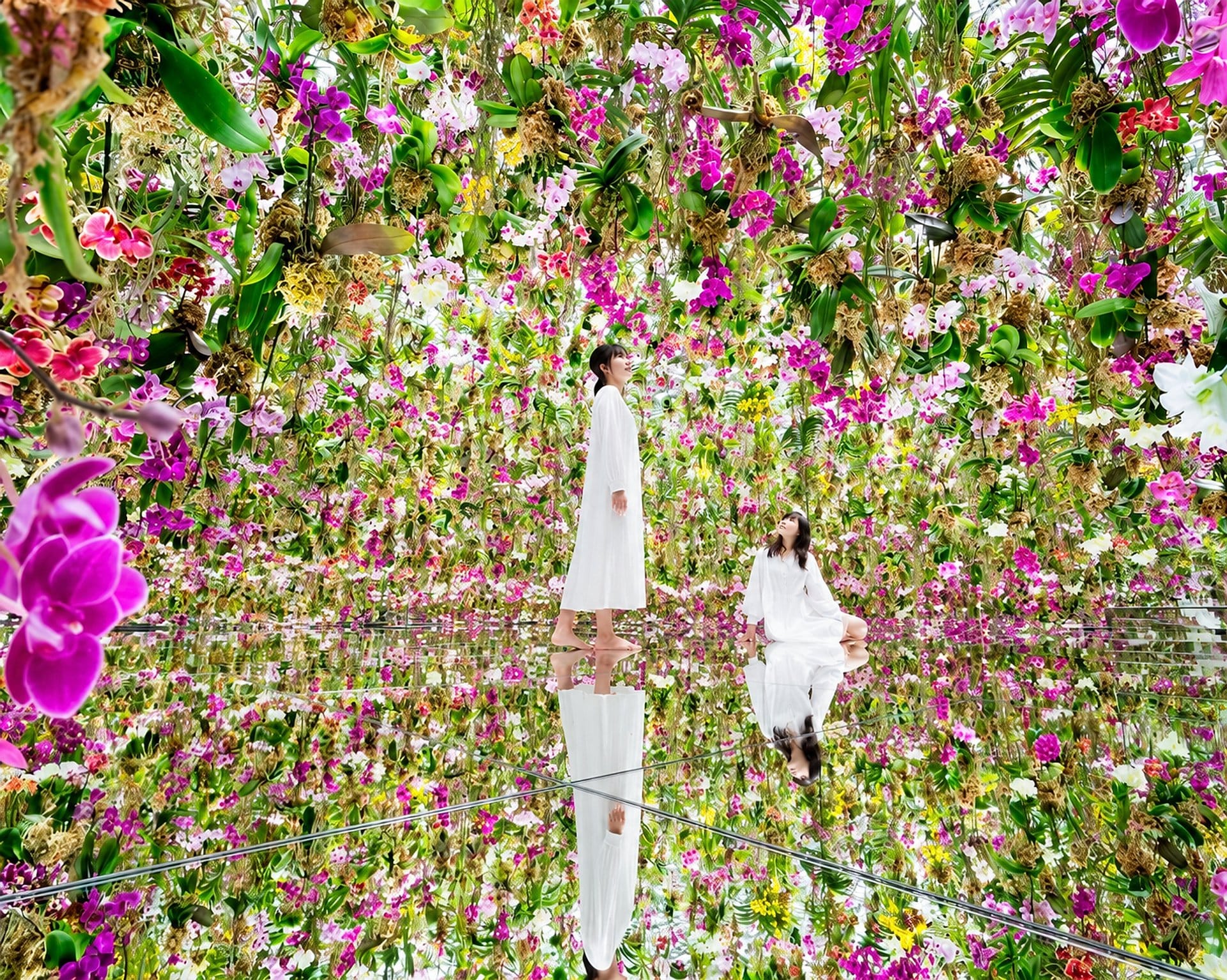 Tokyo Skytree y teamLab Planets: combo