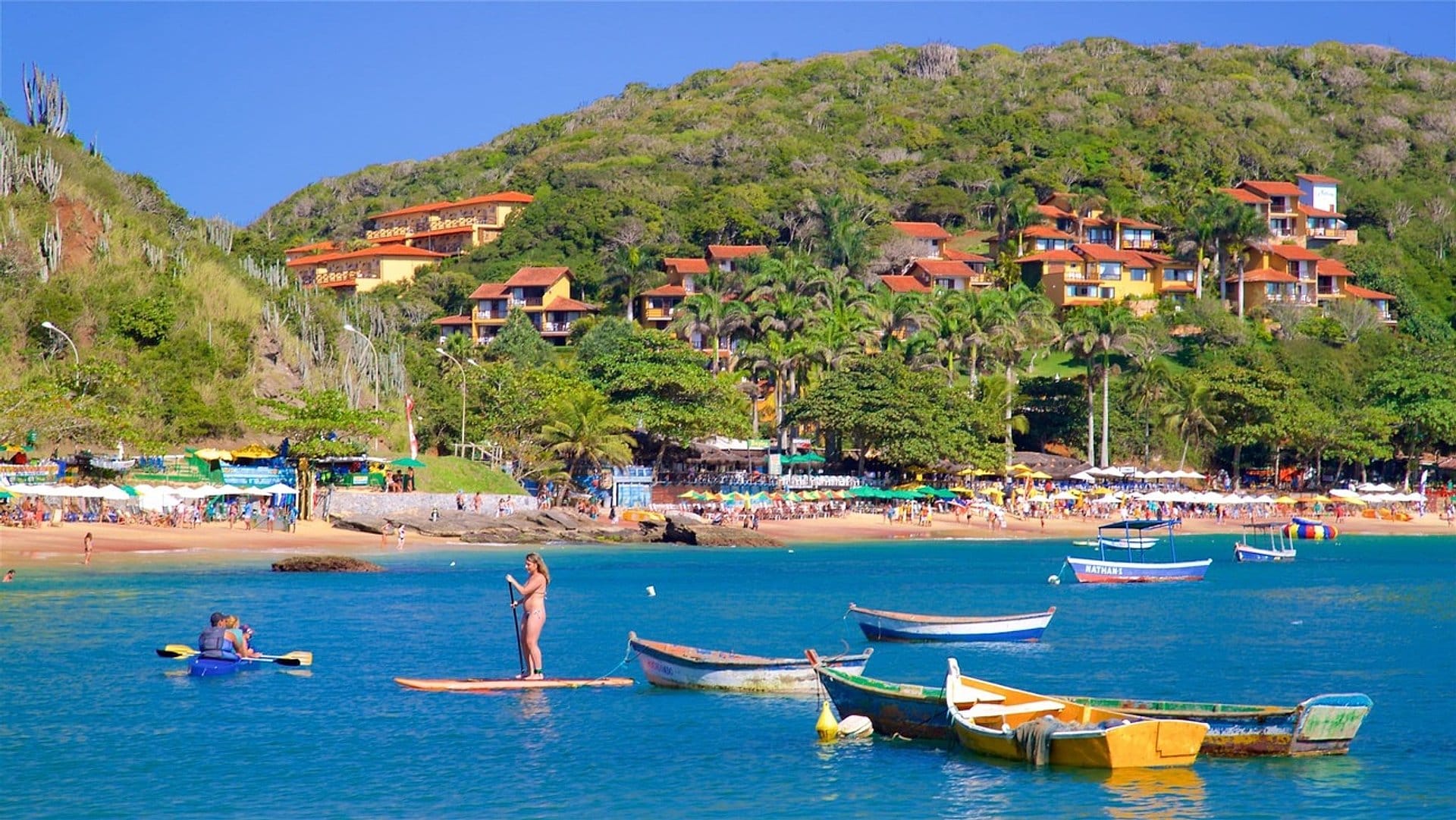 Tour Panorámico .