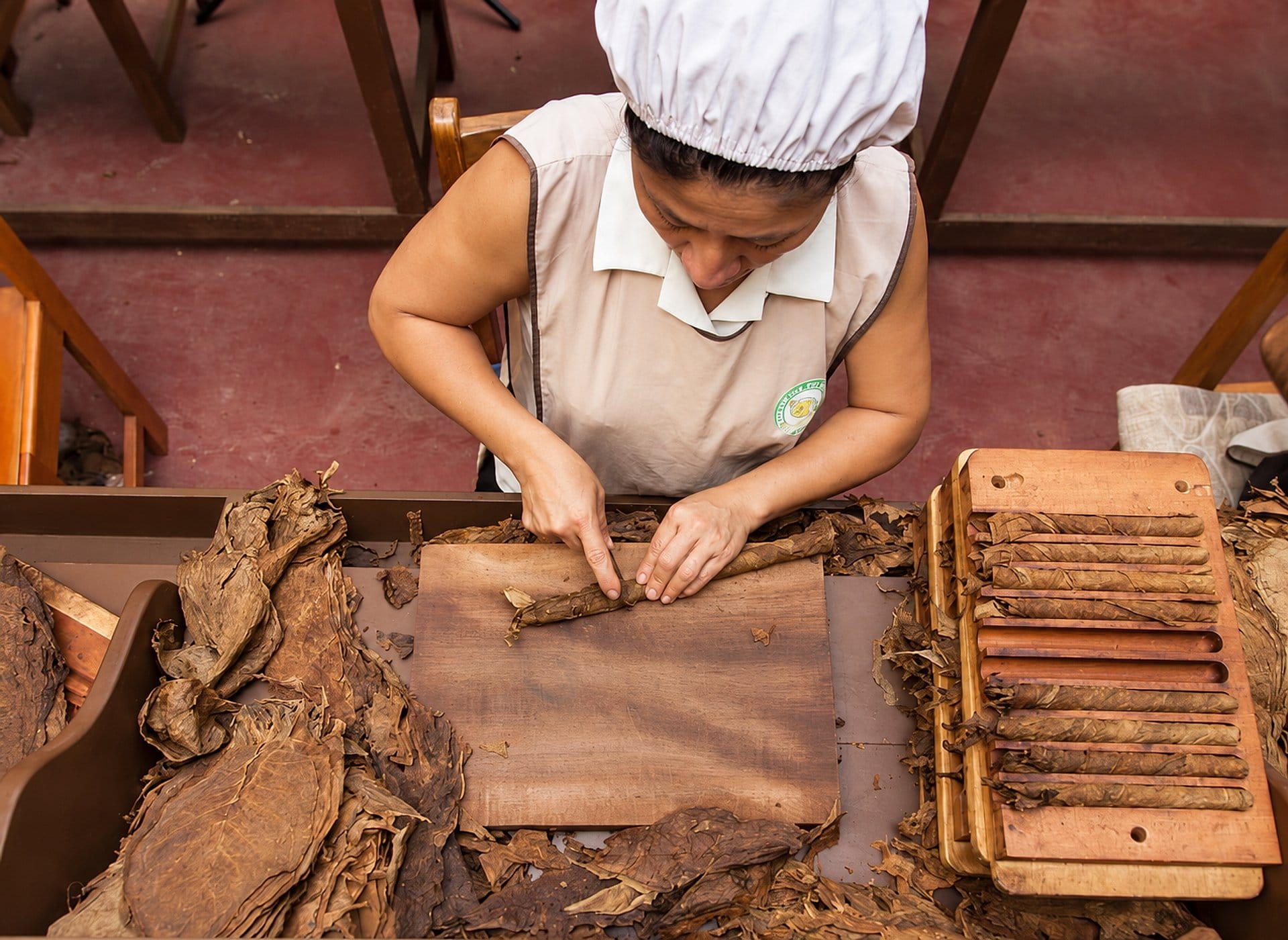 Tarapoto: ciudad, chocolate y animales