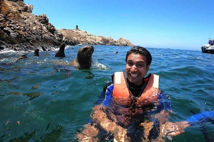 Nado con leones marinos en Islas Palomino