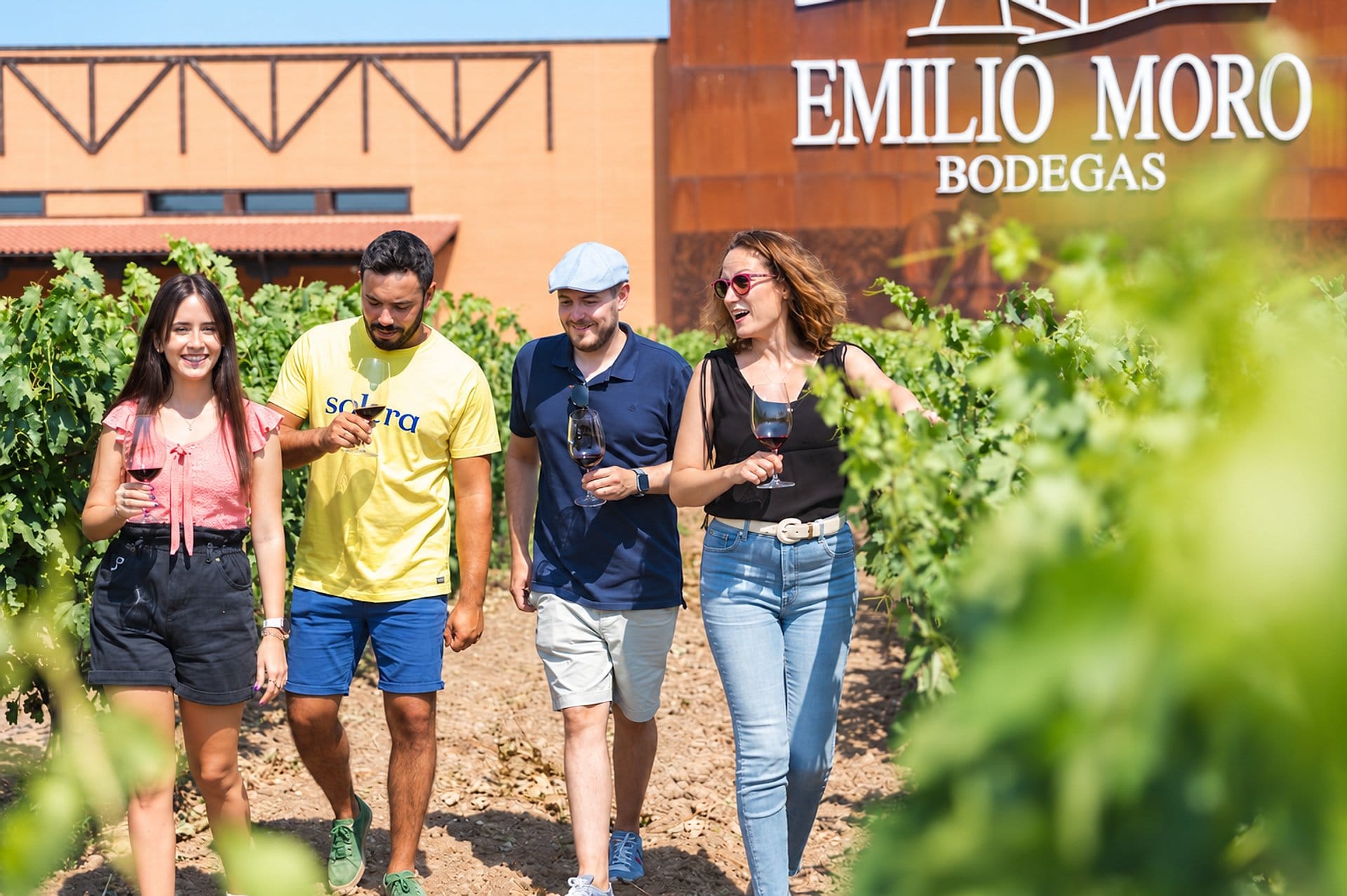 Secretos del Bierzo: bodega y cata