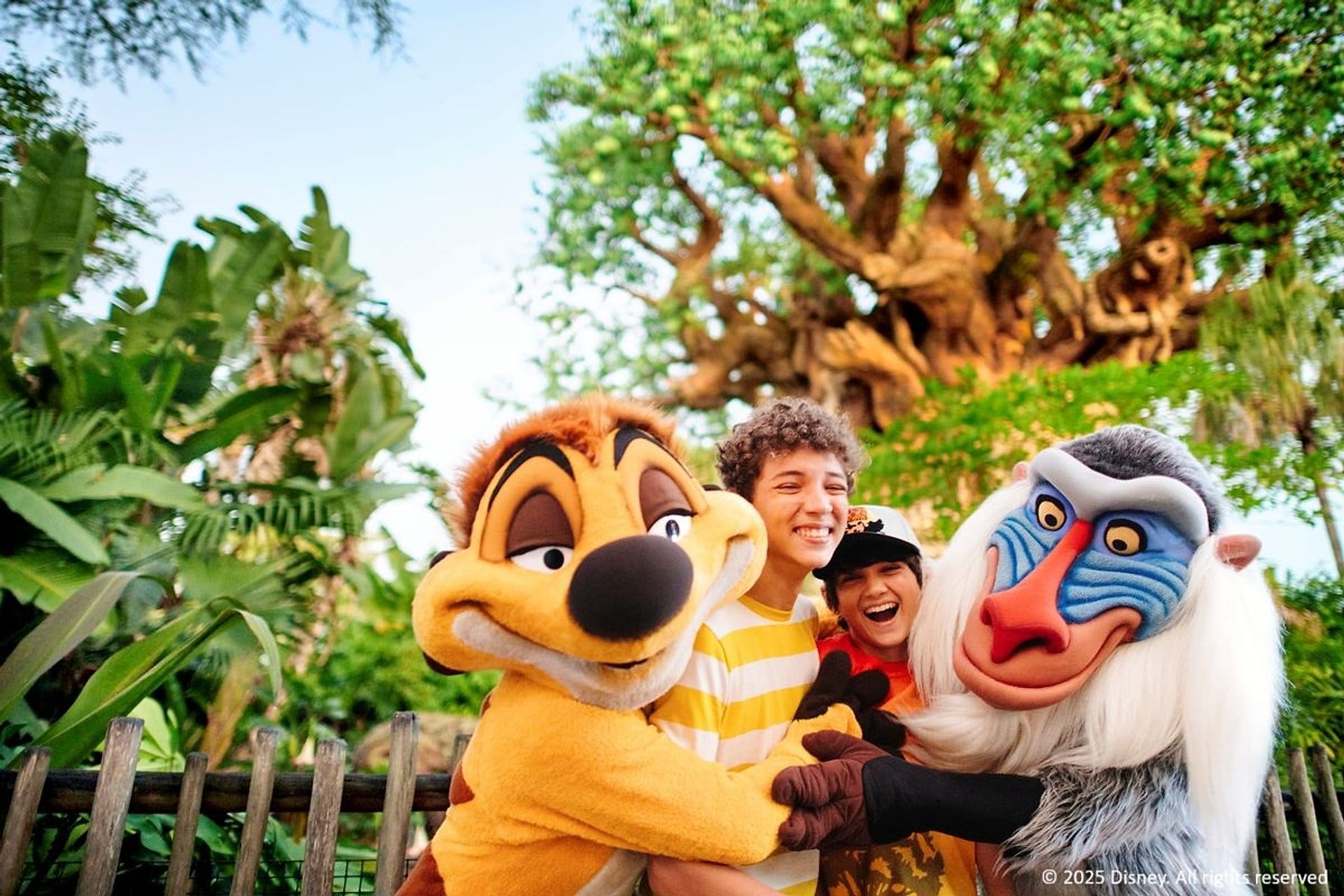 Boleto Disney de 5 días