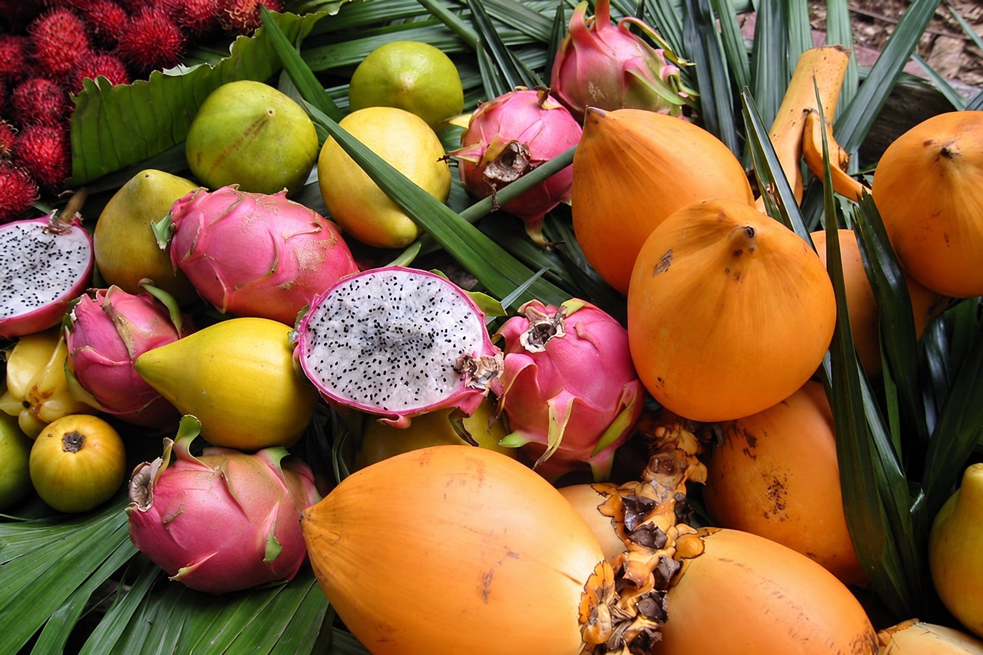Experiencia de frutas tropicales