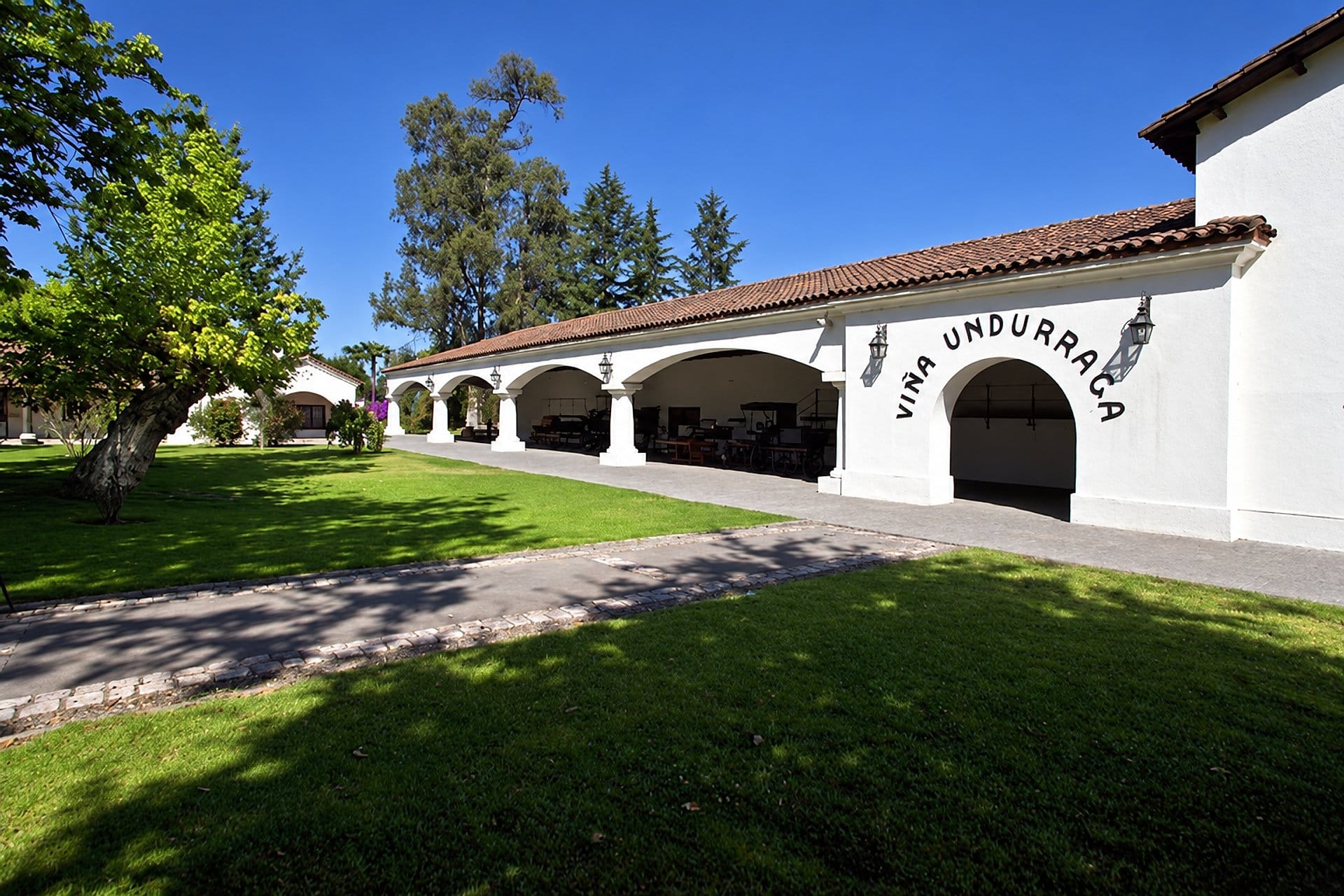 Cata de vinos en Undurraga desde Santiago