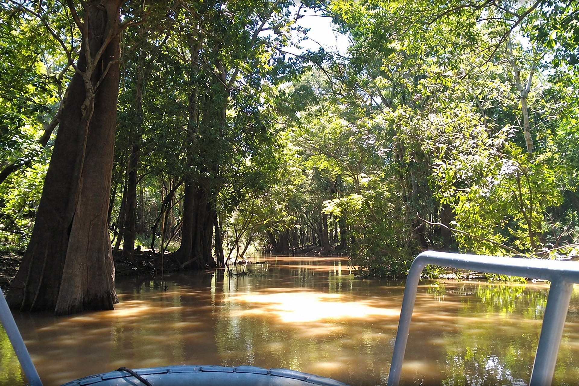 Selva amazónica: aventura de 4 días