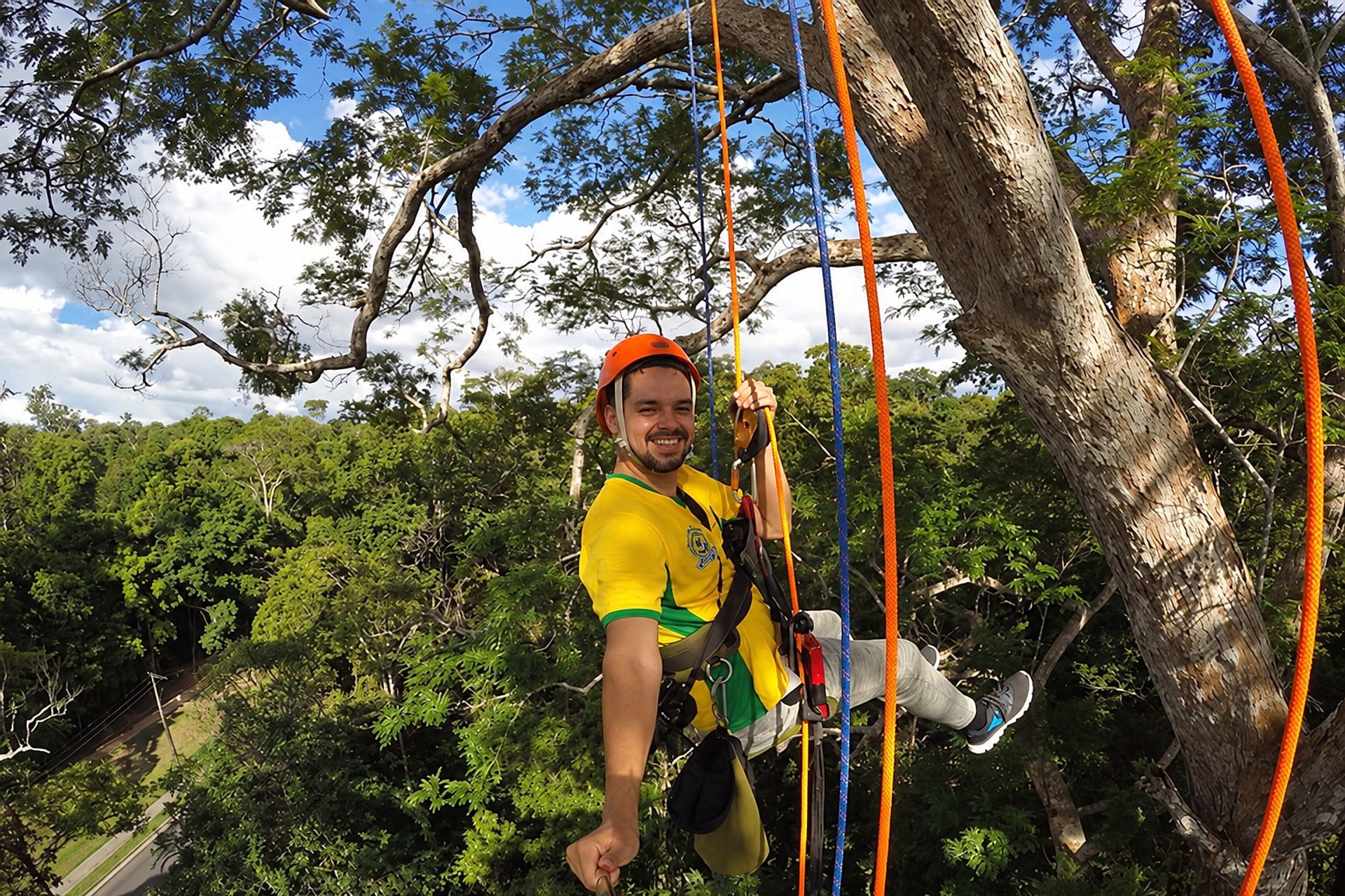 Escalada de árboles en el Amazonas