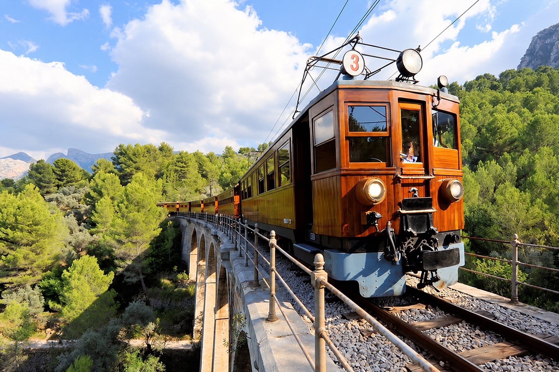 Tour en tren, tranvía y barco por Mallorca