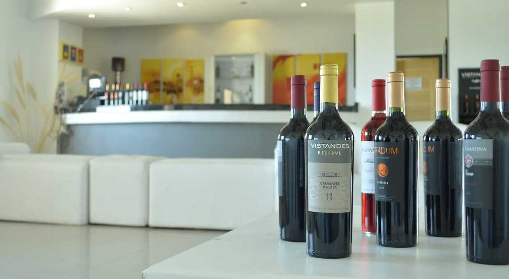 Mendoza entre viñedos con almuerzo