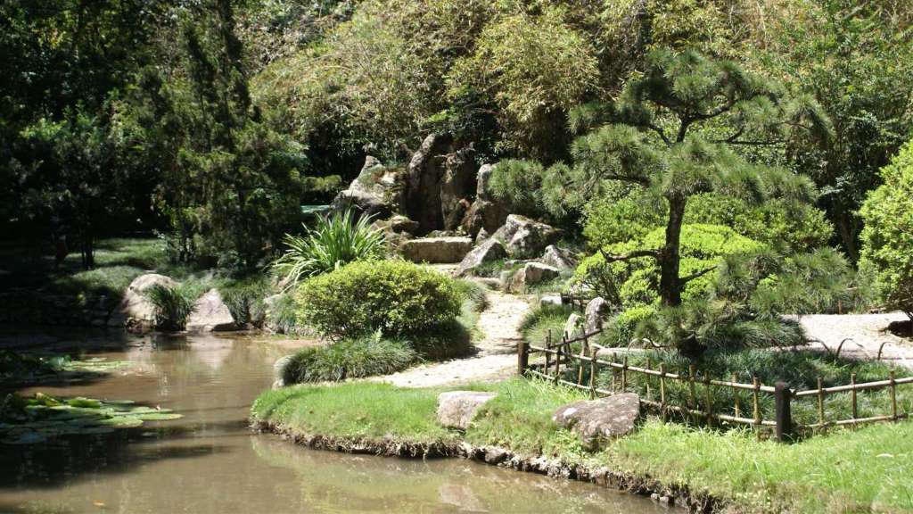 Visita guiada al Jardín Botánico