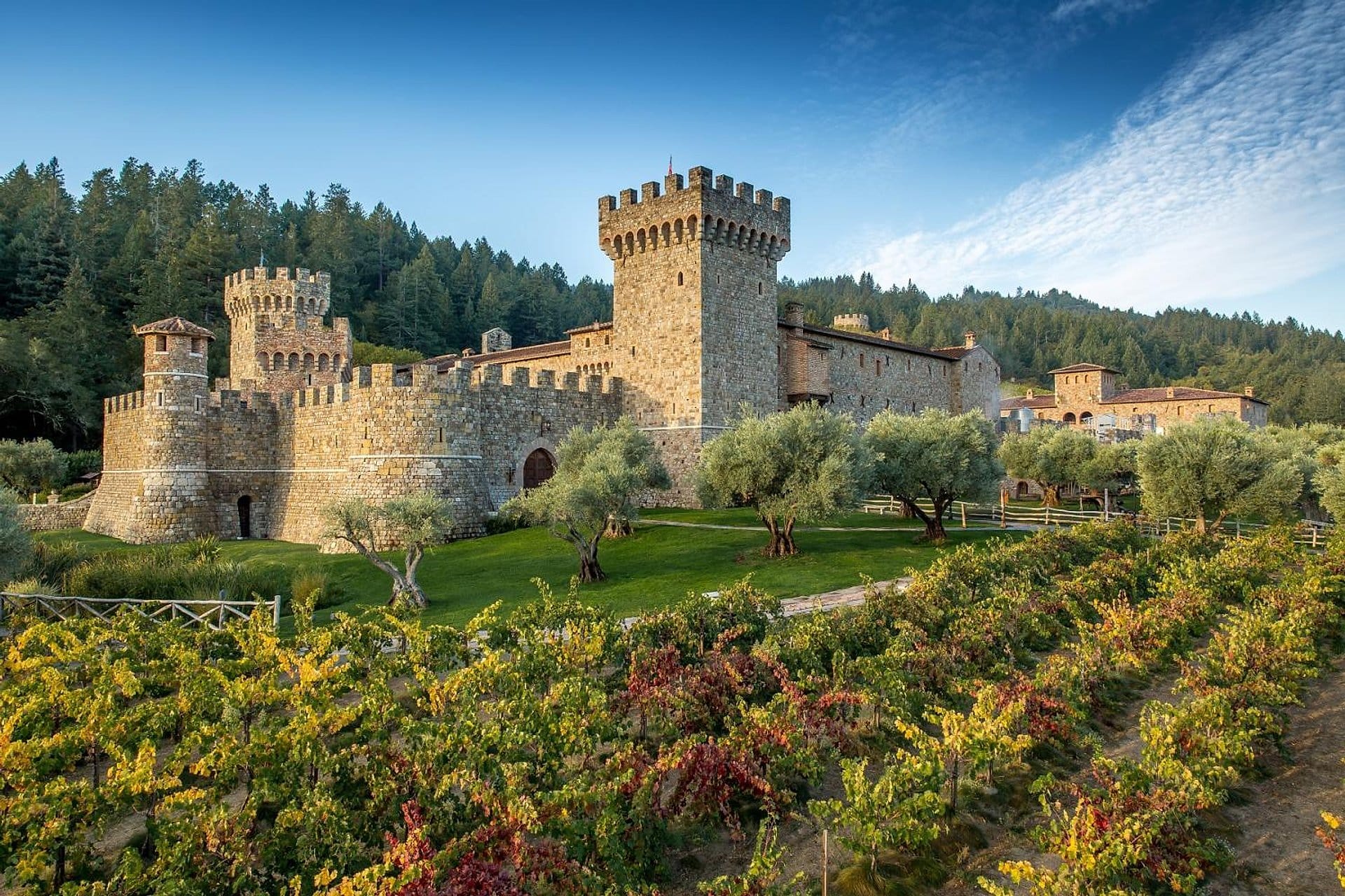 Valle de Napa: vinos y gastronomía