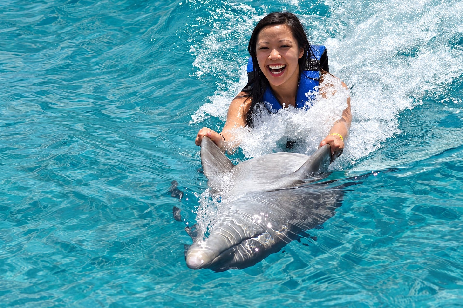 Nado con delfines Royal Swim